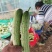 湖南本地水果黄瓜水果旱黄瓜小黄瓜脆不苦小黄瓜大棚露天