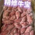 精修牛宝