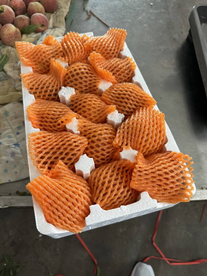 湖北老树血桃胭脂红朱砂红猪血红可批发+电商一件代发