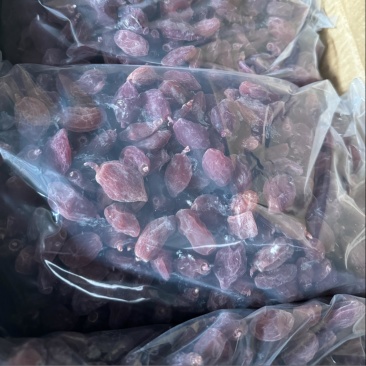 丹参果蓝莓珍果地摊火**