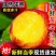 精品黄油桃新鲜采摘脆甜多汁自然成熟按需加工价格优惠