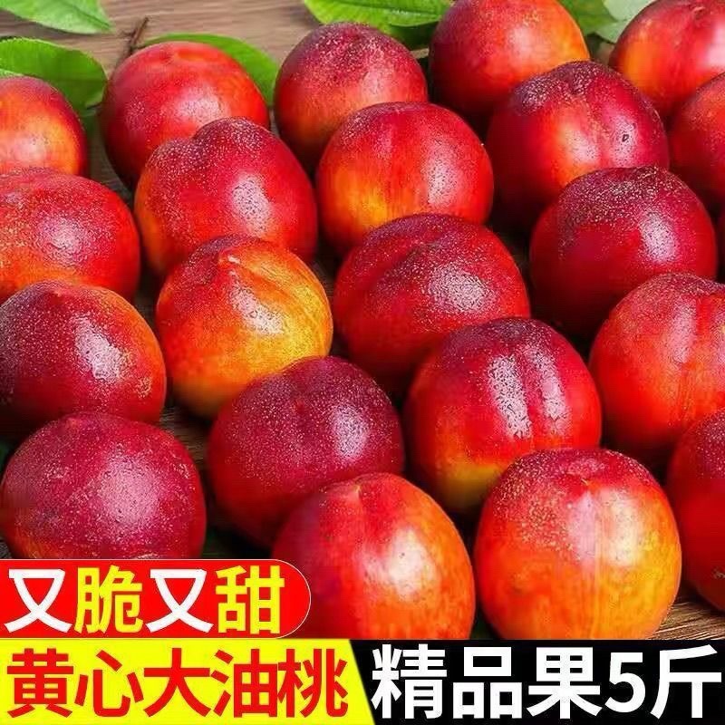 精品黄油桃新鲜采摘脆甜多汁自然成熟按需加工价格优惠