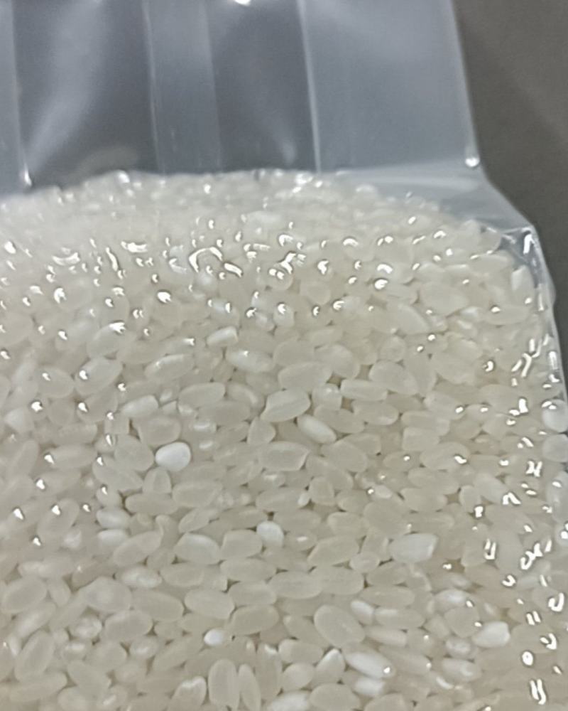 苏州大米