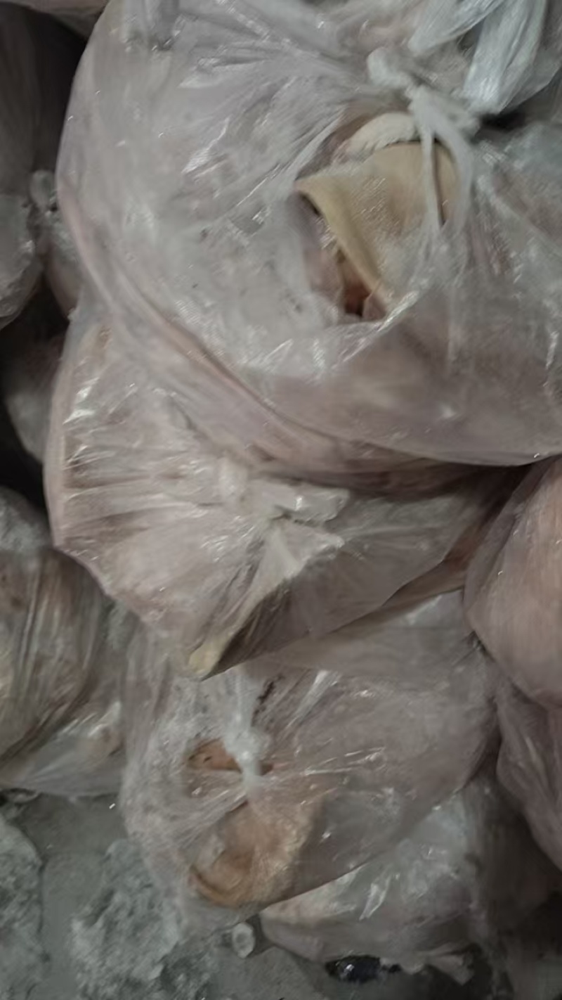 辽宁大型分割场直发猪头各种猪福产品等品种齐全对接全国