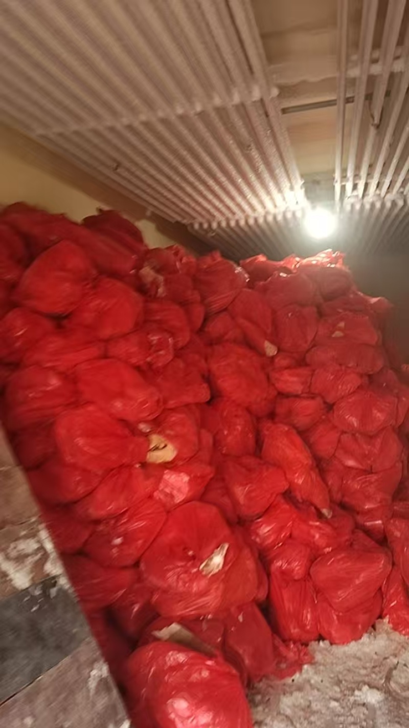 辽宁大型分割场直发猪头各种猪福产品等品种齐全对接全国