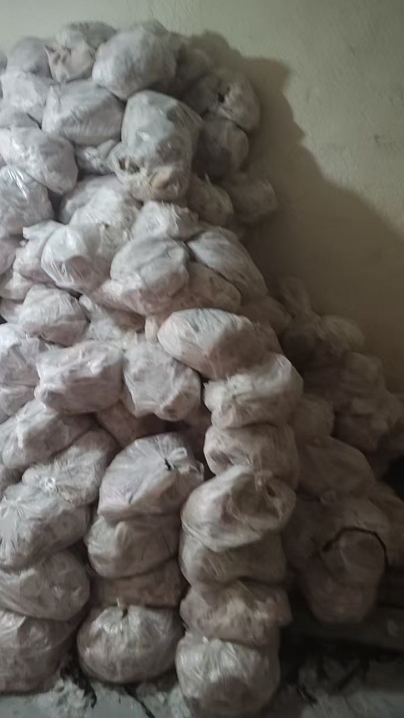 辽宁大型分割场直发猪头各种猪福产品等品种齐全对接全国