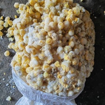 原味鹌鹑蛋，卤味鹌鹑蛋