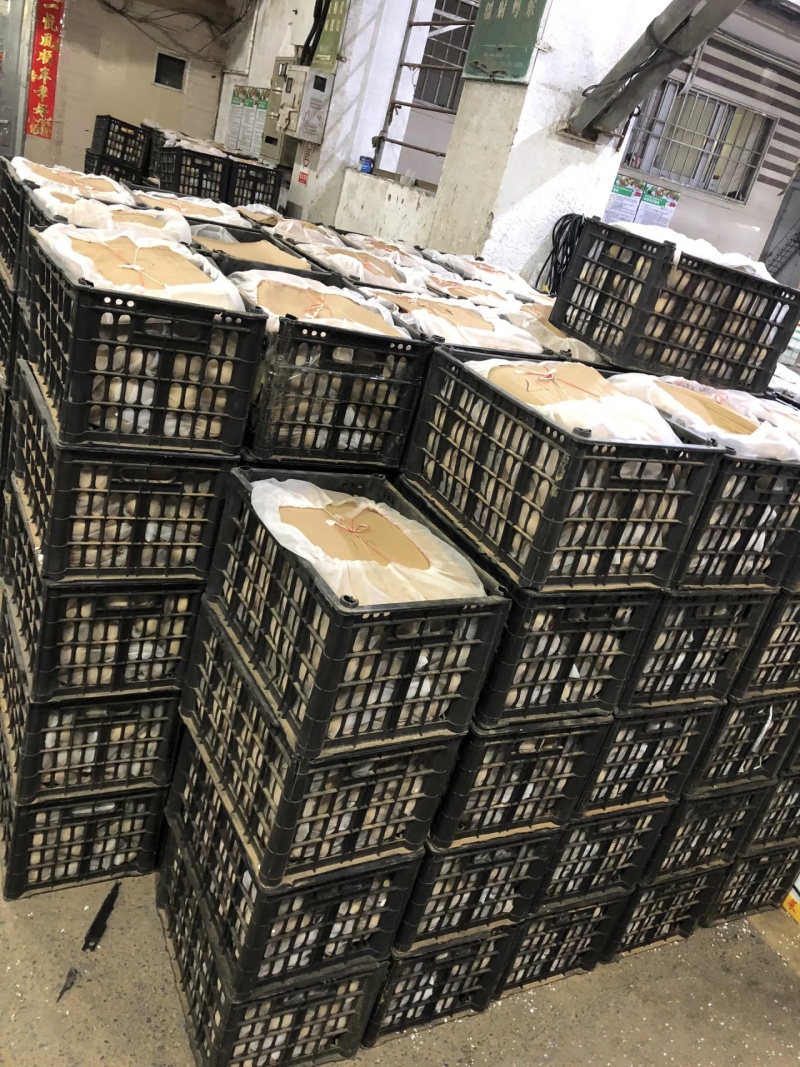 《黄心土豆》湖北土豆/天门黄心土豆/沙地土豆质量三包