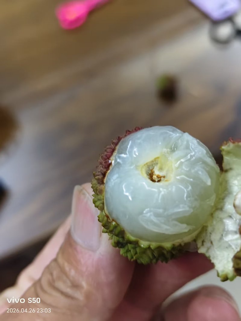 妃子笑荔枝广东荔枝大量现货供应，规格齐全，可视频看货