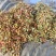 妃子笑荔枝广东荔枝大量现货供应，规格齐全，可视频看货