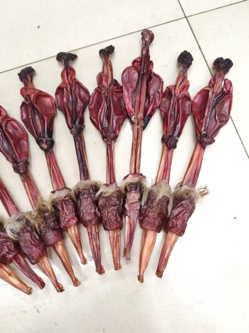正宗干牛鞭，整个带鞭牛鞭干货，男士滋补，泡酒煲汤食材