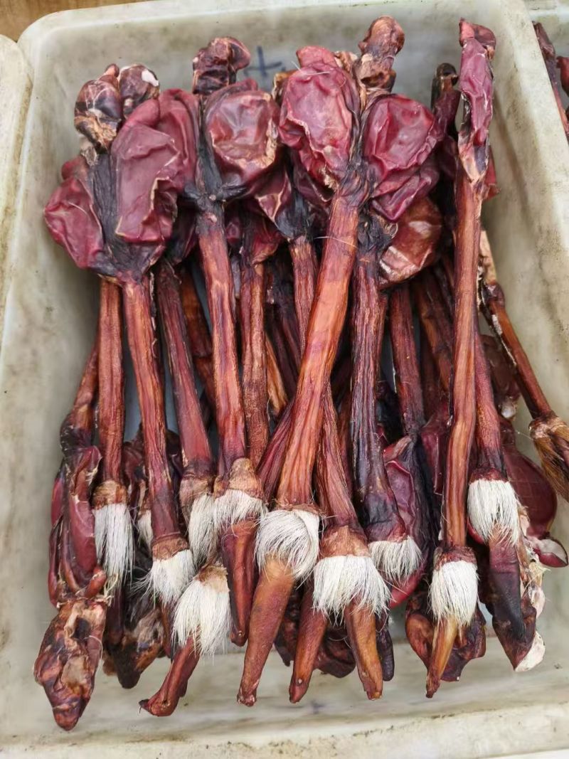 正宗干牛鞭，整个带鞭牛鞭干货，男士滋补，泡酒煲汤食材