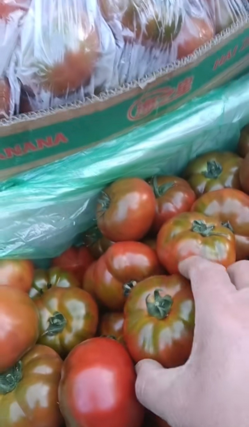 草莓西红柿，产地直发，品质保证，诚信经营，欢迎来电
