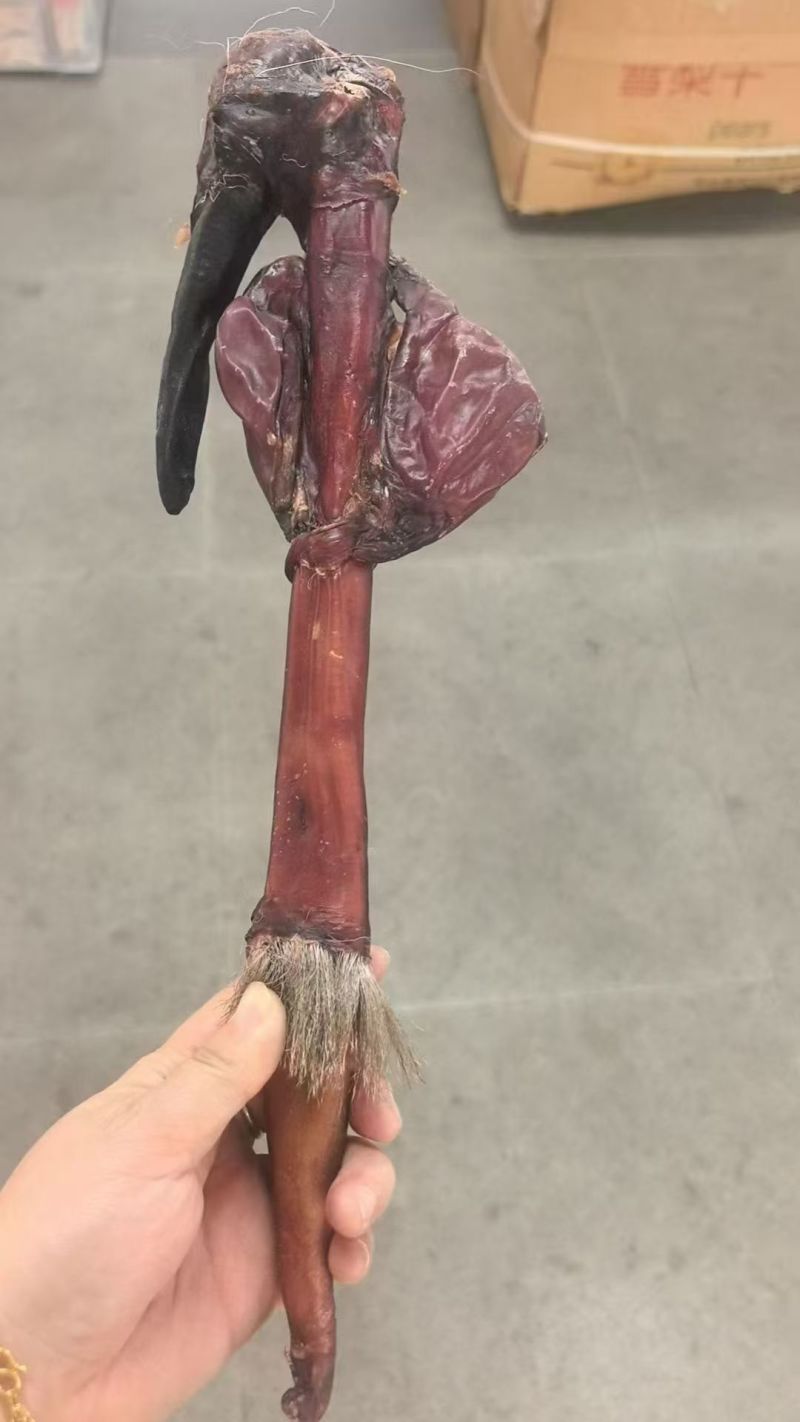 正宗干牛鞭，整个带鞭牛鞭干货，男士滋补，泡酒煲汤食材