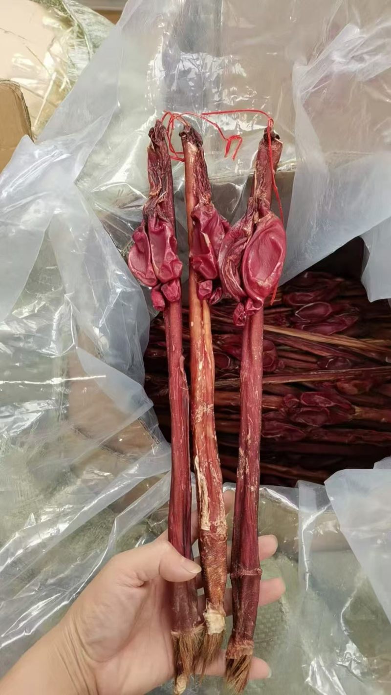 正宗干牛鞭，整个带鞭牛鞭干货，男士滋补，泡酒煲汤食材