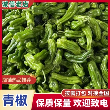 精品青椒大量有货，产地直发品质有保障