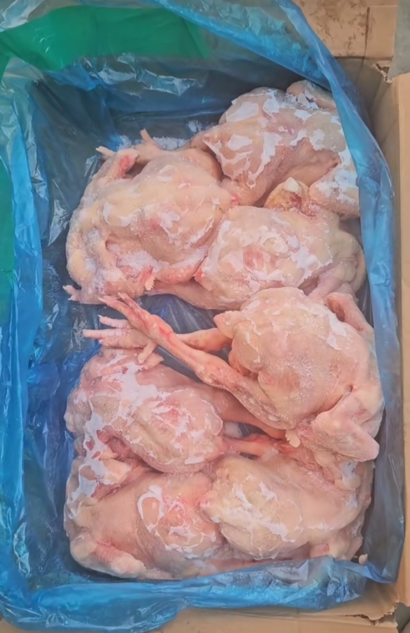 白条鸡