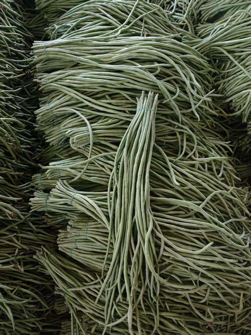 新鲜豆角大量有货
