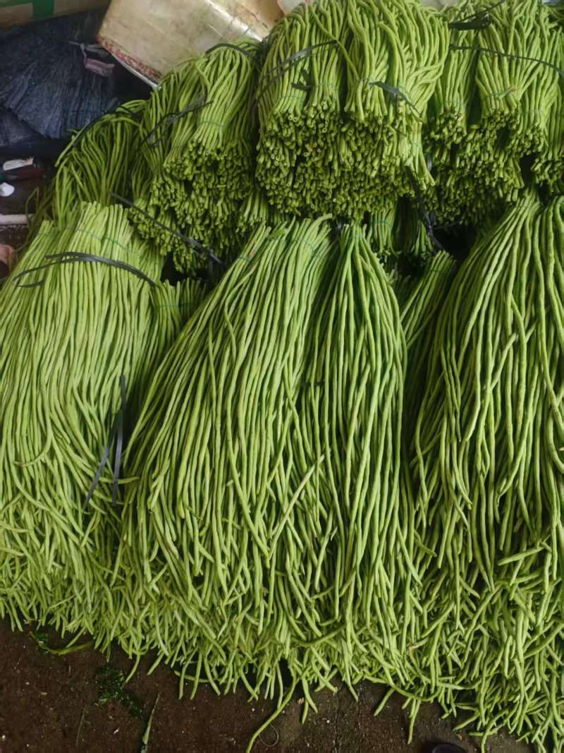 新鲜豆角大量有货