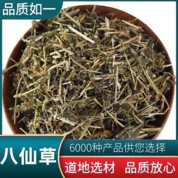 八仙草正品野生中药材八仙草、猪殃殃、锯子草、拉拉秧