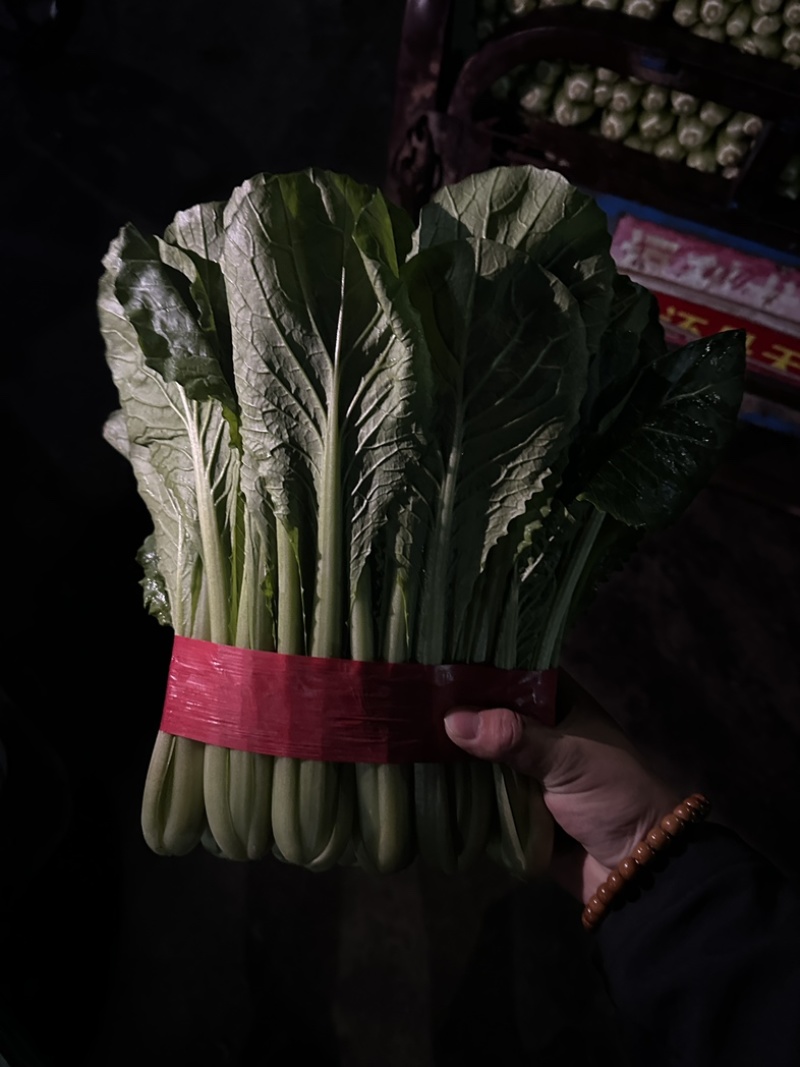 精品小白菜，大量有货，不限量，欢迎来谈