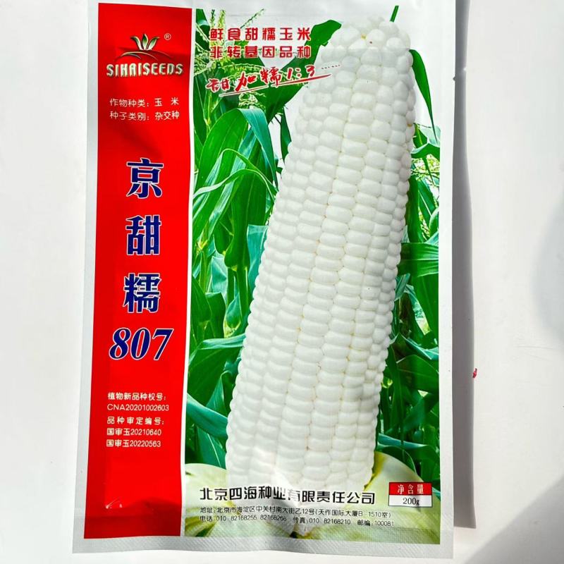 京甜糯807大棒甜加糯非转基因北京四海粘黏白甜糯玉米种子