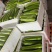 嘉兴本地精品短瓠子大量上市，价格实惠，量大从优