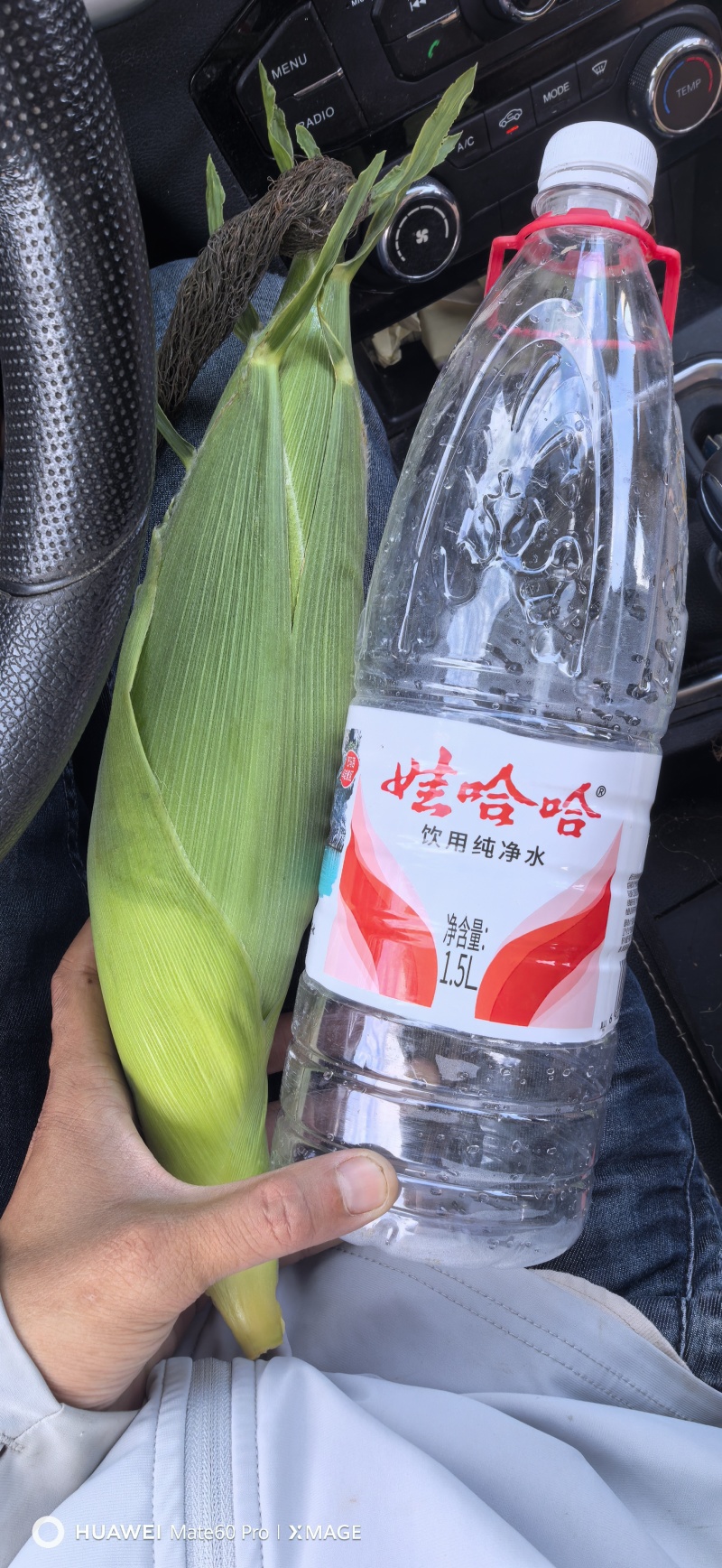 甜玉米，水果玉米，花糯玉米，白糯玉米，双色甜玉米