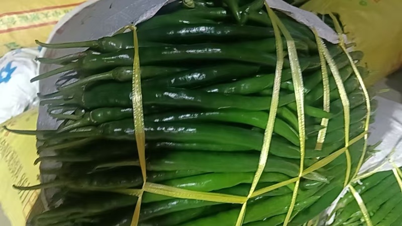 【青椒】辣椒新鲜蔬菜薄皮青椒牛角椒尖椒现摘青辣椒，包邮