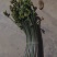 威宁蕨菜