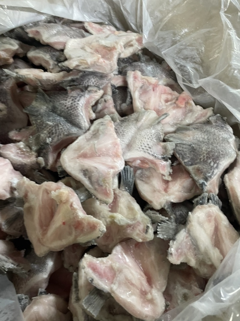 鲷鱼下巴量大价优