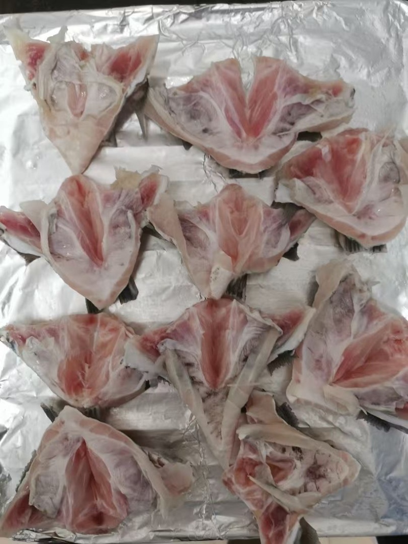 鲷鱼下巴量大价优