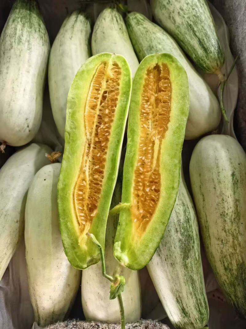 羊角蜜甜瓜