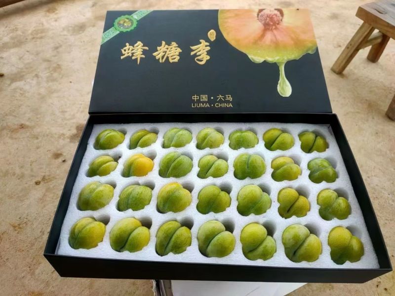六马蜂糖李