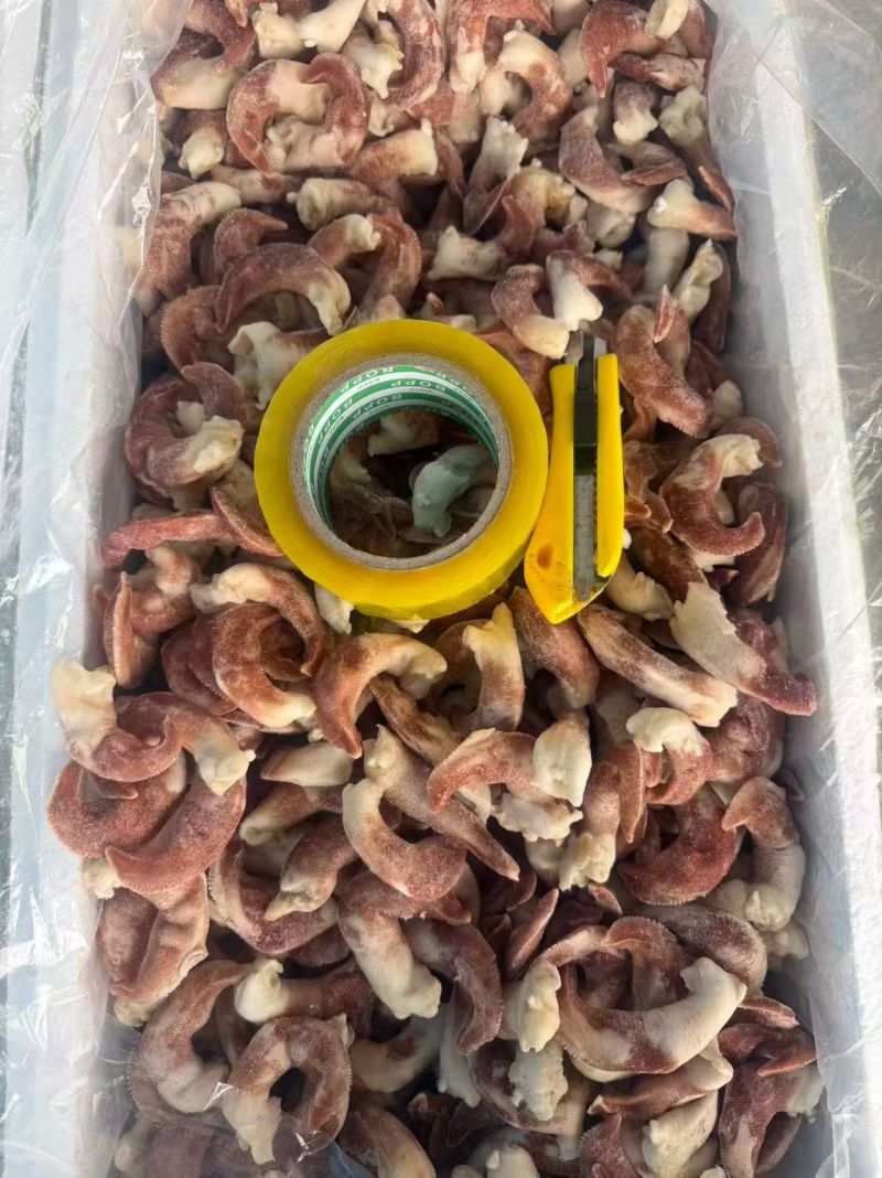 紫鸟贝，大号紫鸟贝，去脏紫鸟贝，紫色鸟贝肉