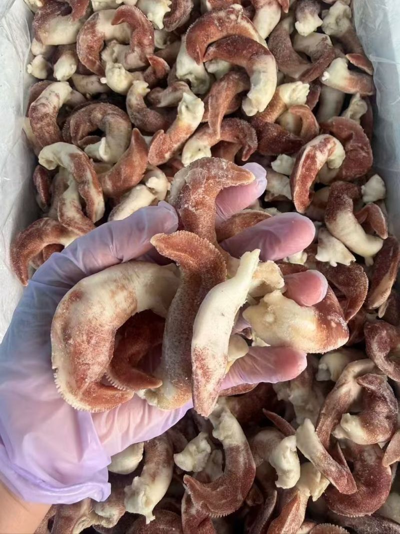 紫鸟贝，大号紫鸟贝，去脏紫鸟贝，紫色鸟贝肉