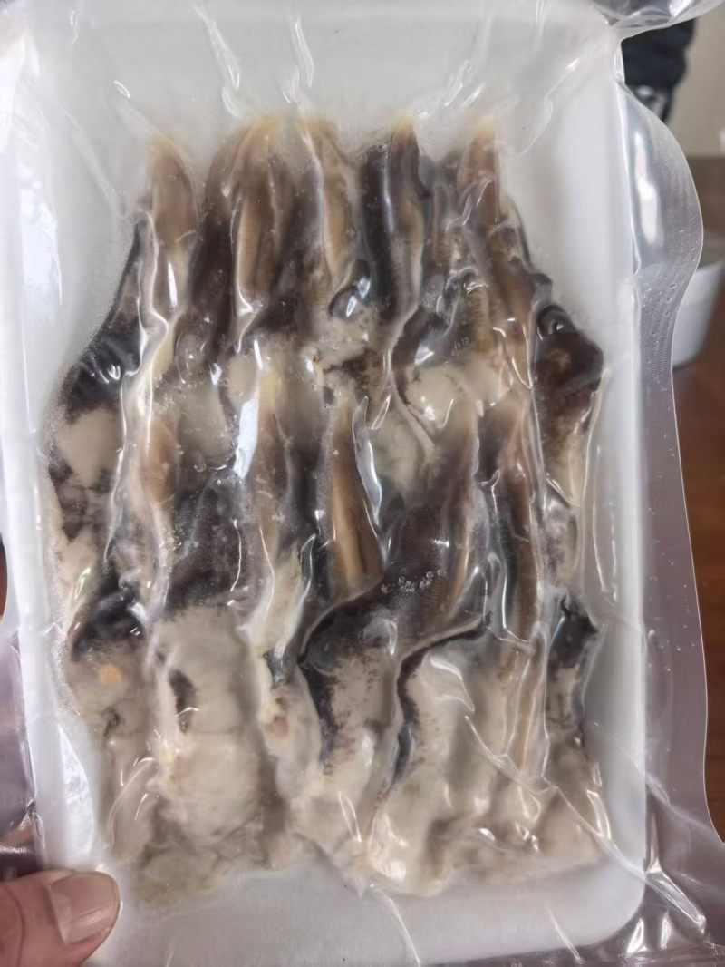 紫鸟贝，大号紫鸟贝，去脏紫鸟贝，紫色鸟贝肉