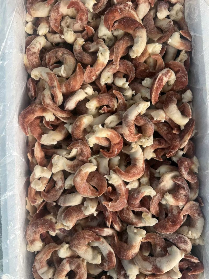 紫鸟贝，大号紫鸟贝，去脏紫鸟贝，紫色鸟贝肉