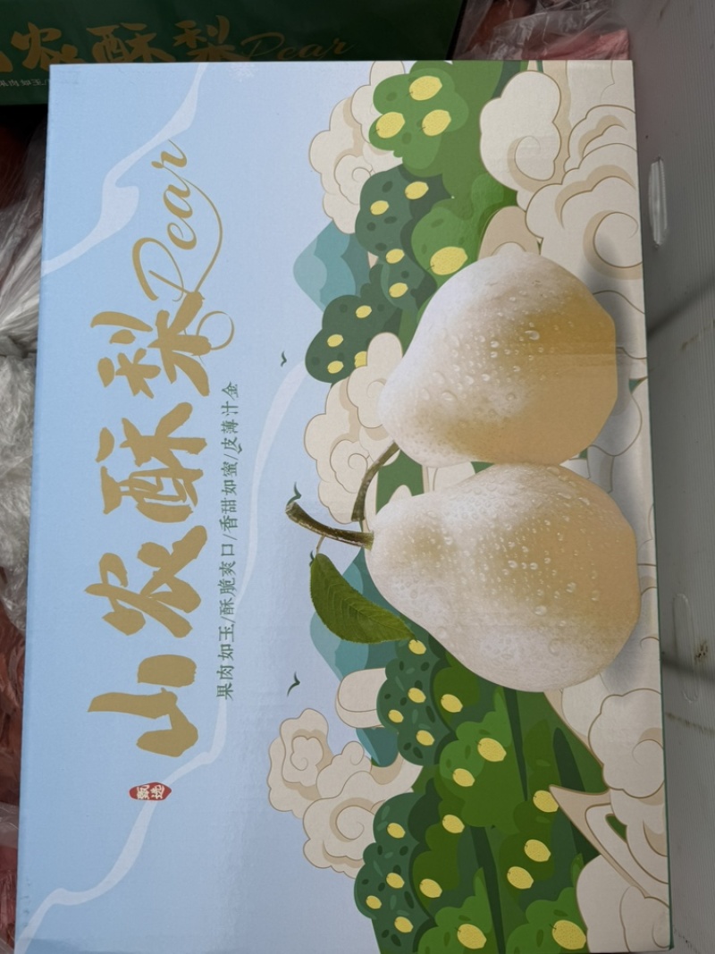 山农酥梨单个一斤到4斤大果脆甜多汁
