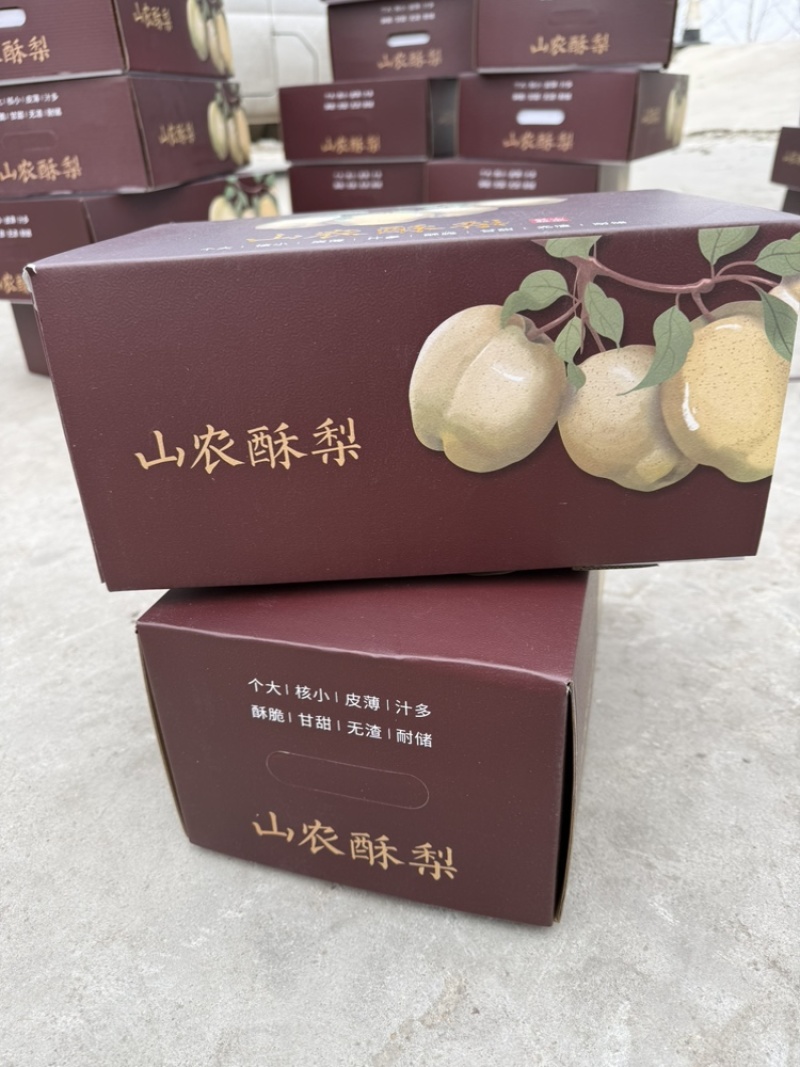 山农酥梨单个一斤到4斤大果脆甜多汁