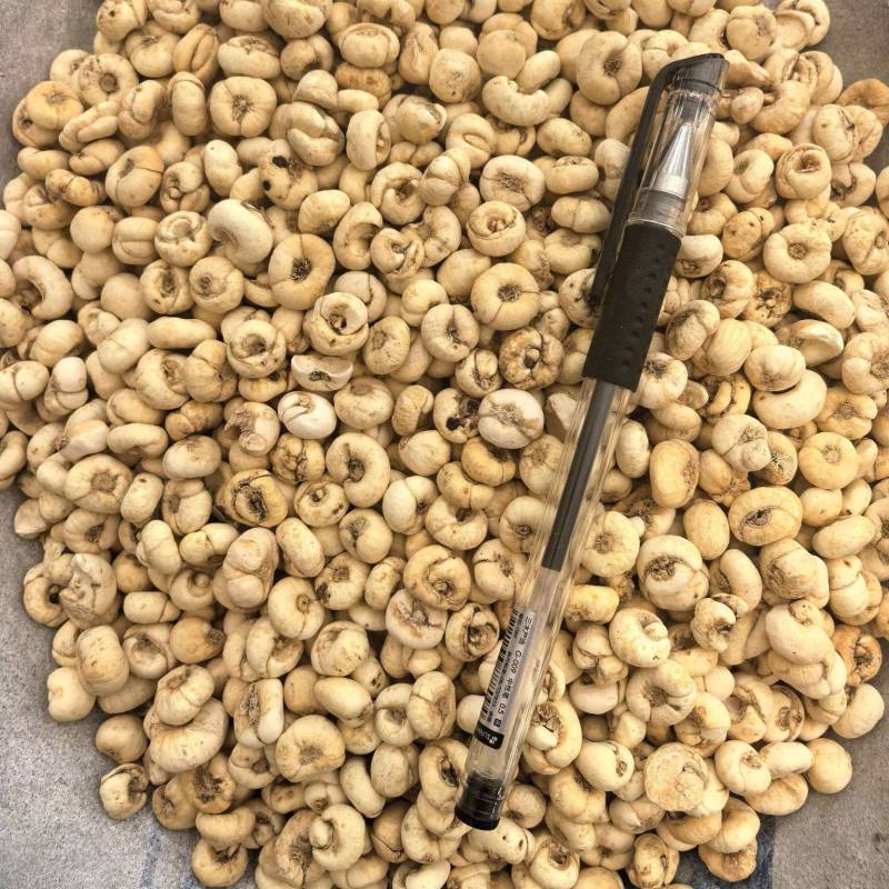 贝母平贝母统货无硫颜色好规格齐全品质保证价格优惠