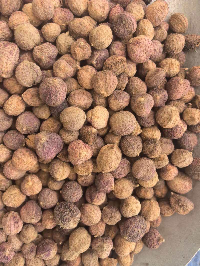 砂仁手选货正品阳春砂只卖好货品质保证价格实惠