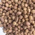 砂仁手选货正品阳春砂只卖好货品质保证价格实惠