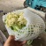 河南焦作博爱县蒋村散花基地，大量上市中，价格便宜