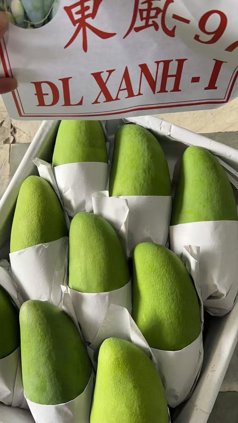 大青芒果品质