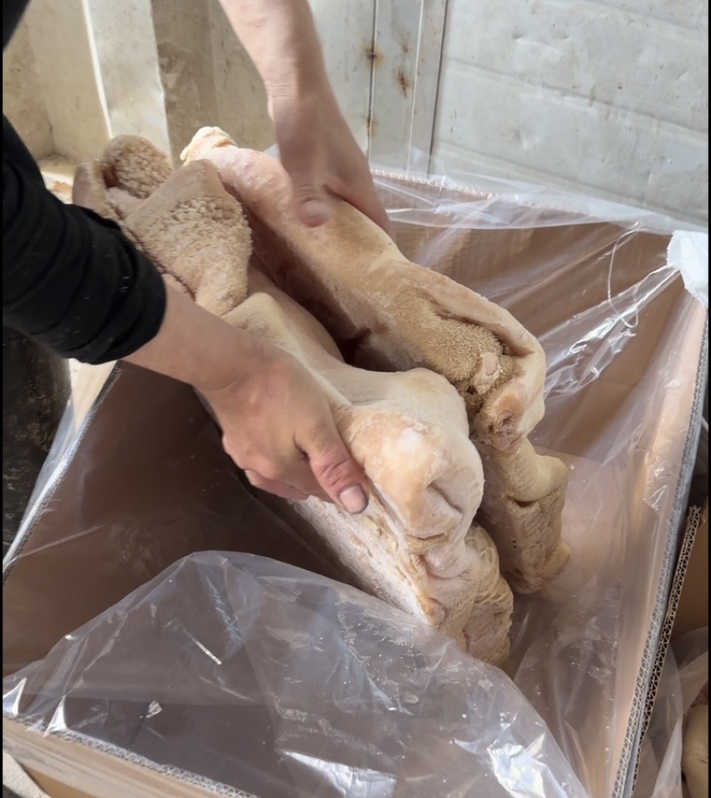 广东汕头新鲜飞牛肚、飞水的、新鲜的、一手货源、货量充足