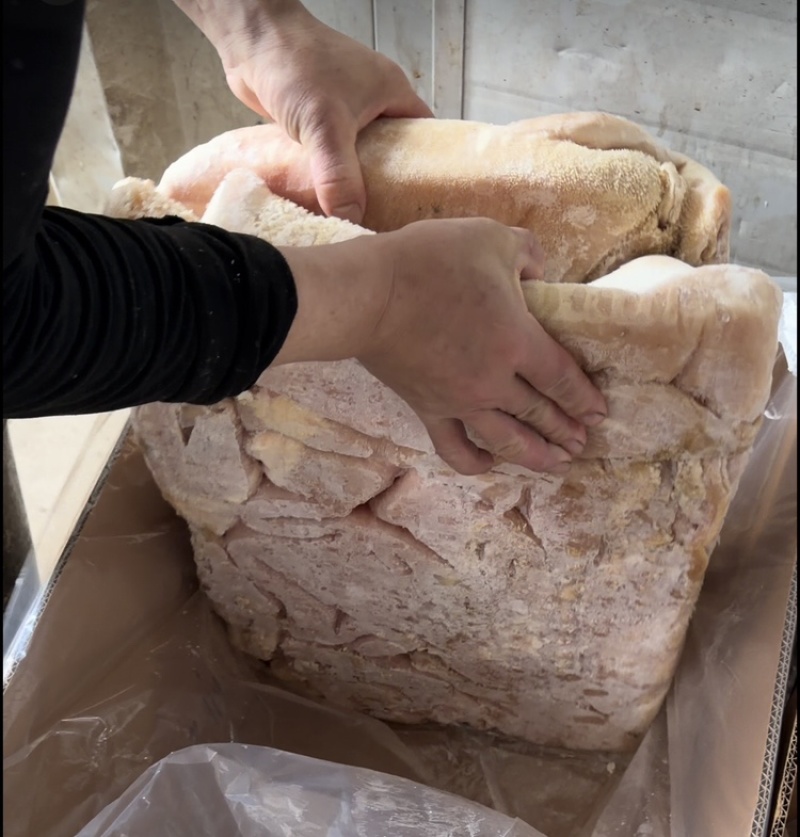 广东汕头新鲜飞牛肚、飞水的、新鲜的、一手货源、货量充足
