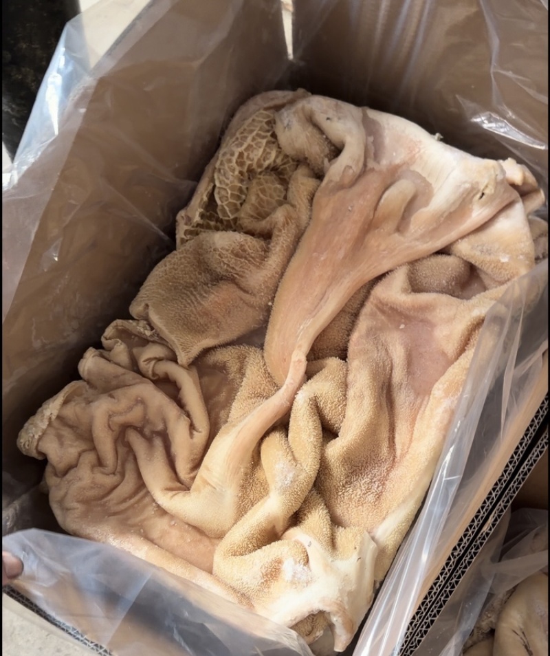 广东汕头新鲜飞牛肚、飞水的、新鲜的、一手货源、货量充足