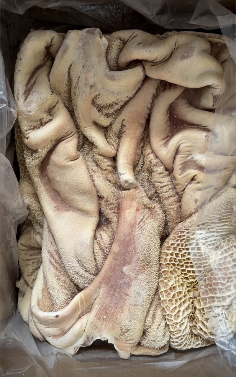 广东汕头新鲜飞牛肚、飞水的、新鲜的、一手货源、货量充足