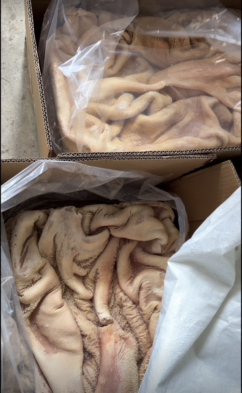 广东汕头新鲜飞牛肚、飞水的、新鲜的、一手货源、货量充足